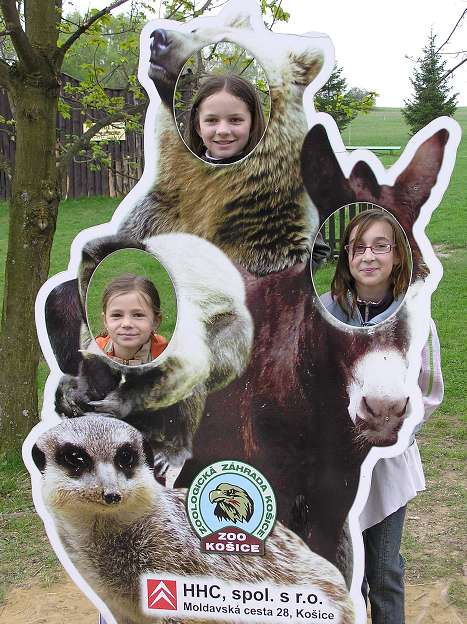 img00052.jpg