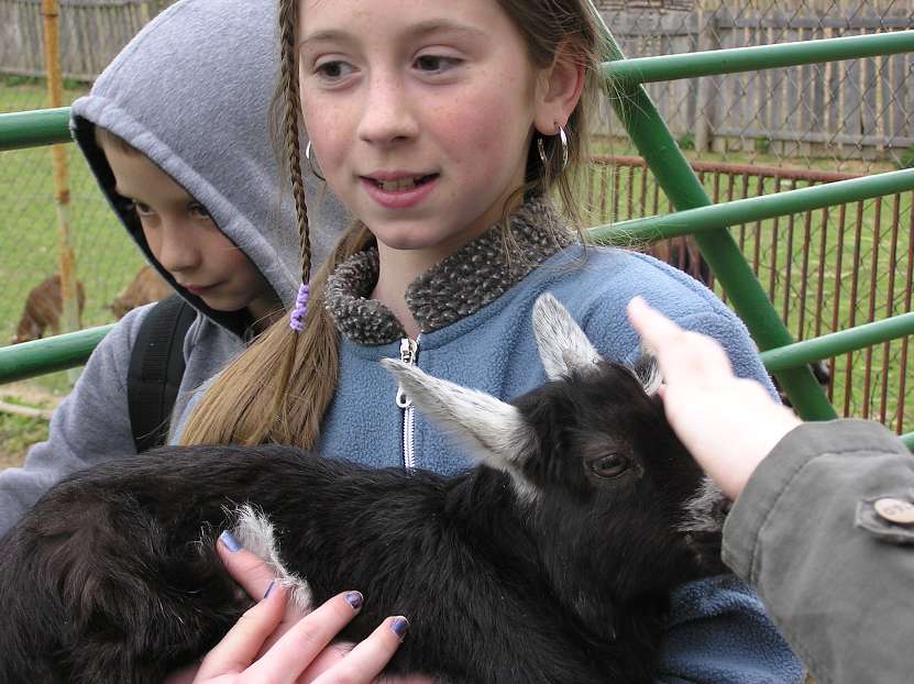img00060.jpg