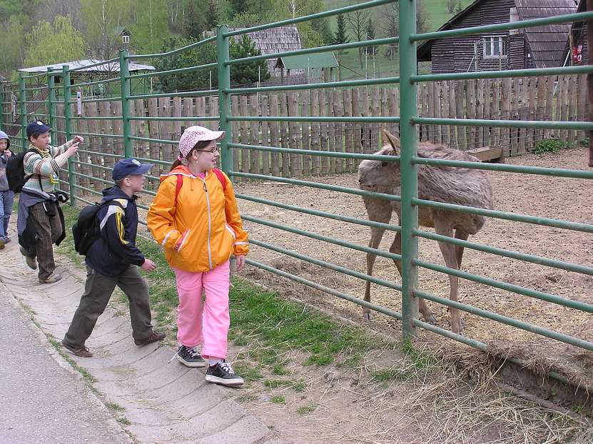 img00062.jpg