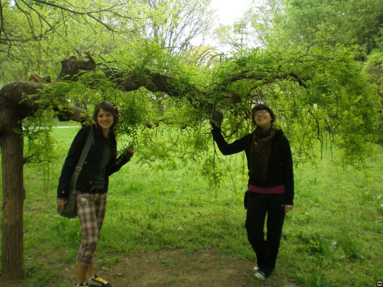 img00026.jpg