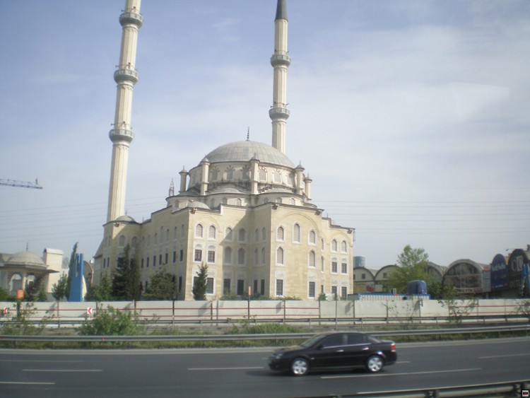 img00055.jpg