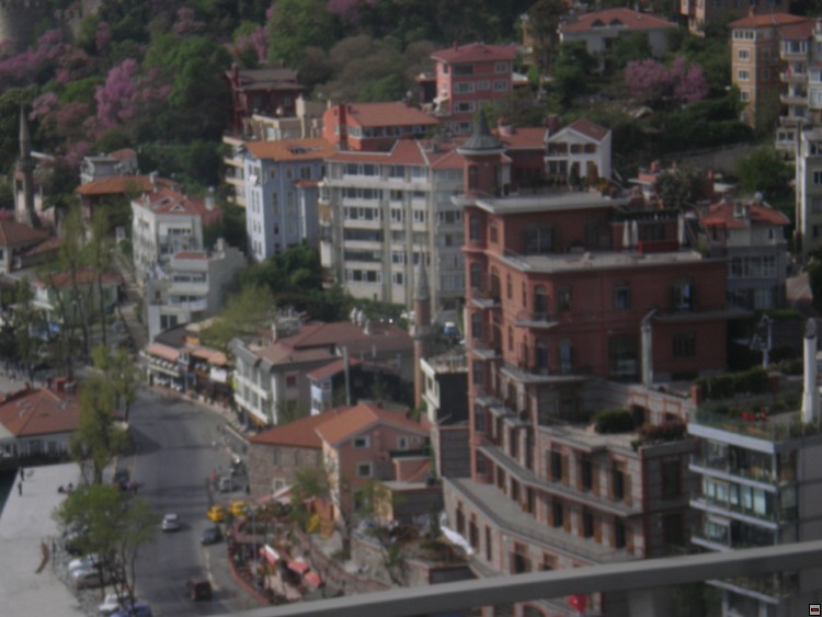 img00060.jpg