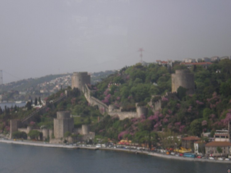 img00062.jpg