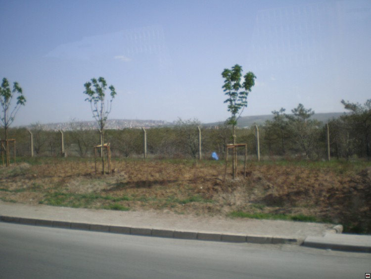 img00068.jpg