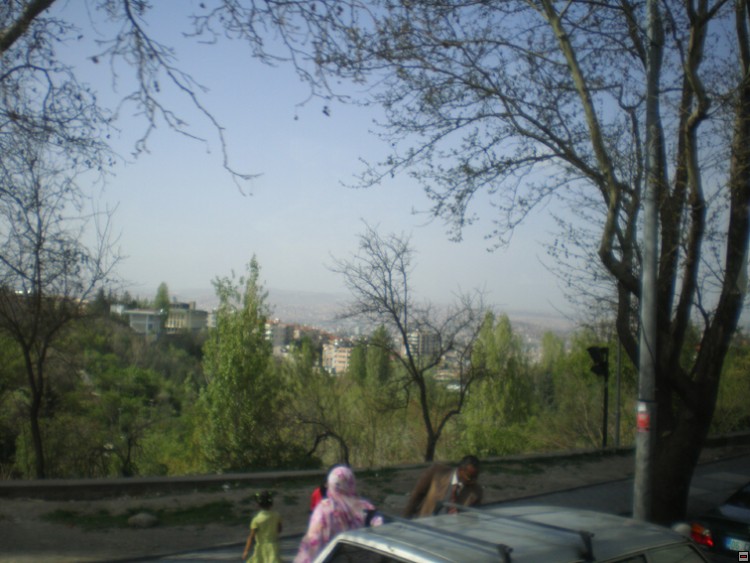 img00077.jpg