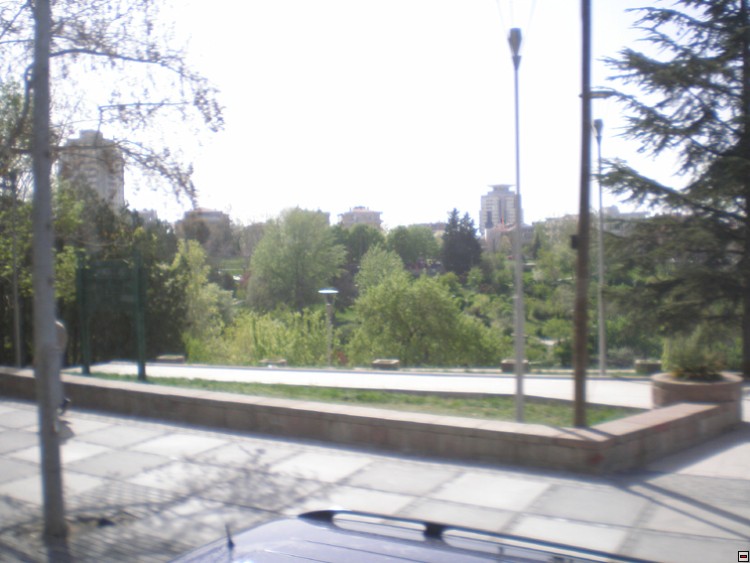img00078.jpg