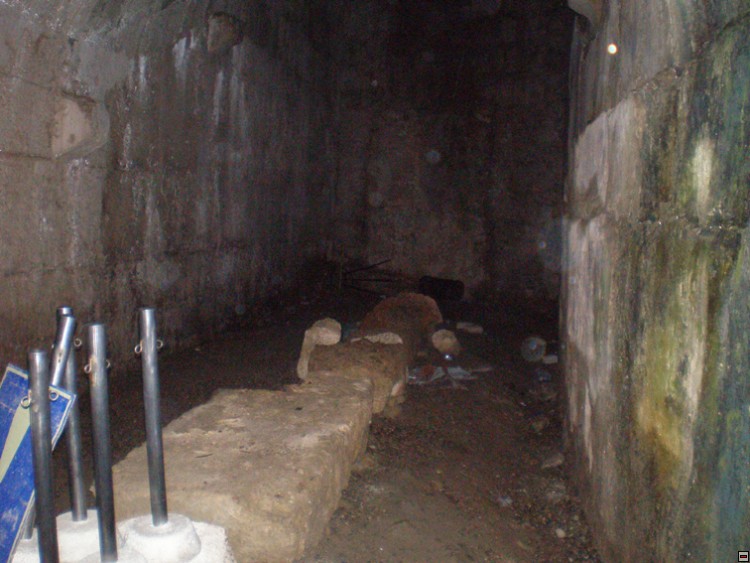 img00147.jpg