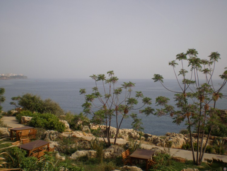 img00162.jpg