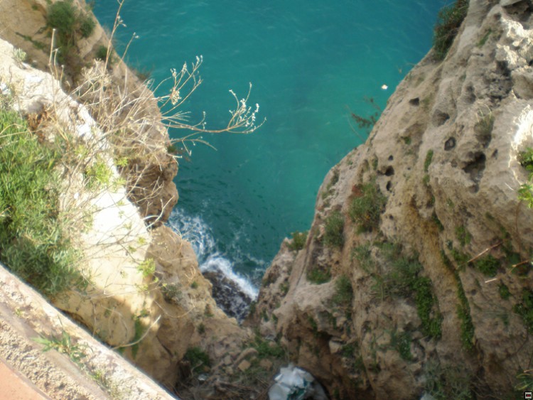 img00166.jpg