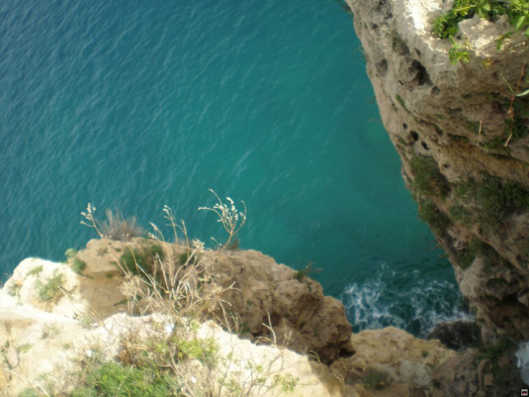 img00167.jpg
