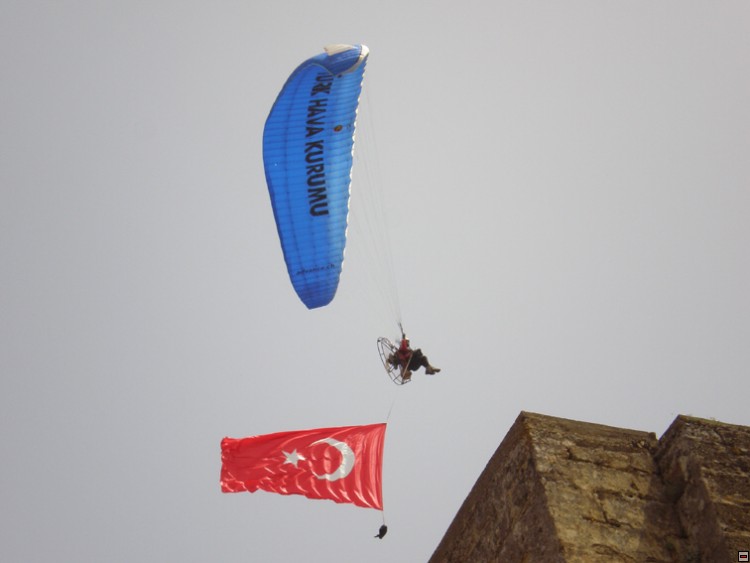 img00206.jpg