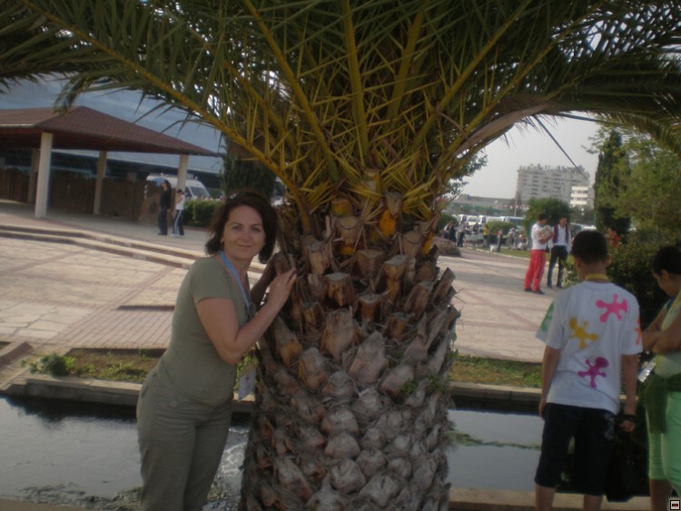 img00235.jpg