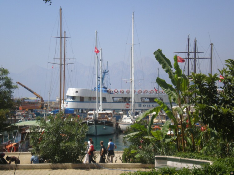 img00263.jpg