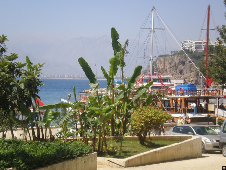 img00264.jpg
