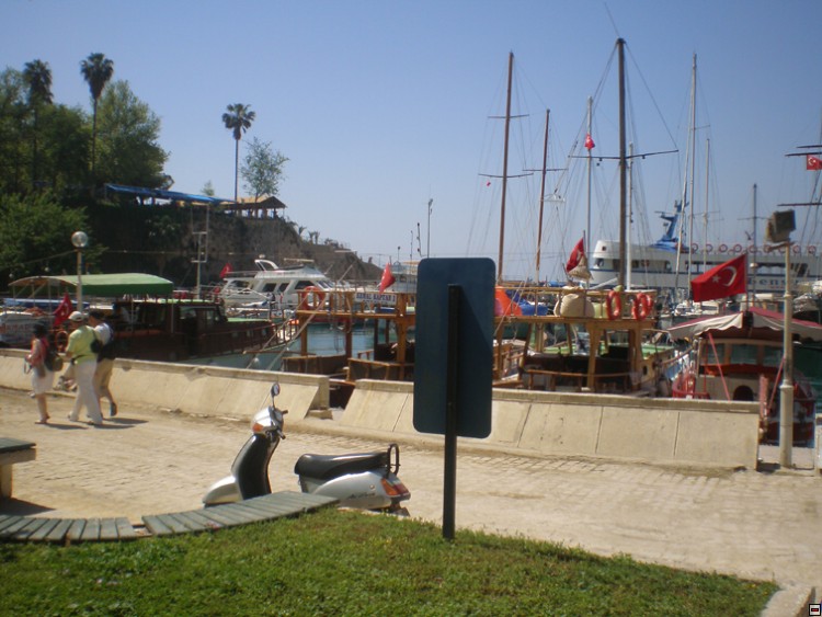 img00265.jpg