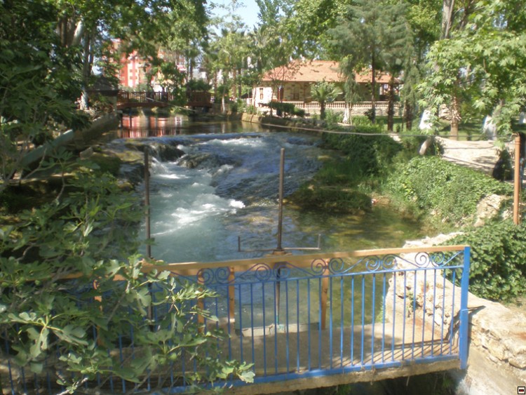 img00269.jpg