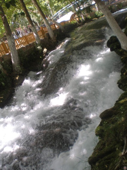 img00272.jpg