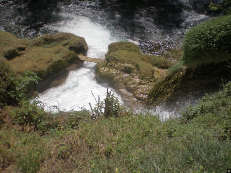 img00275.jpg