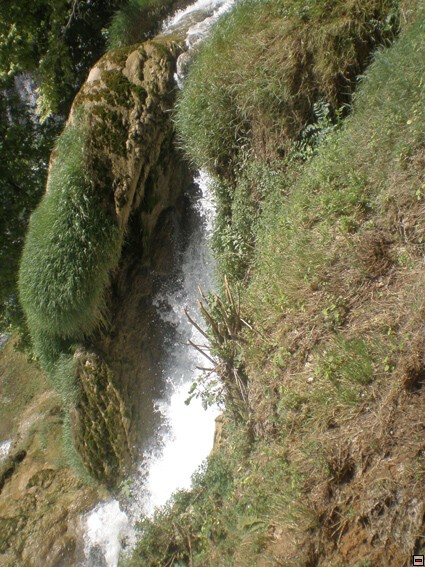 img00276.jpg