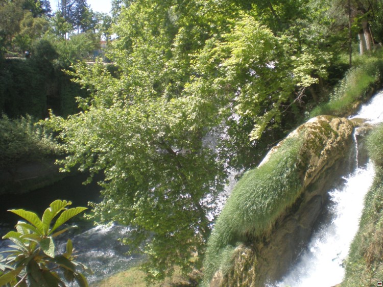img00278.jpg