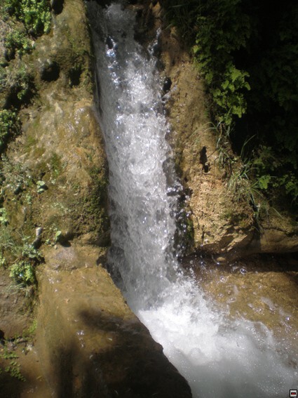img00281.jpg