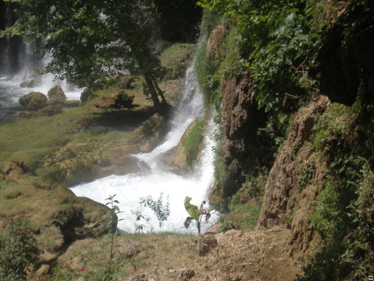 img00284.jpg