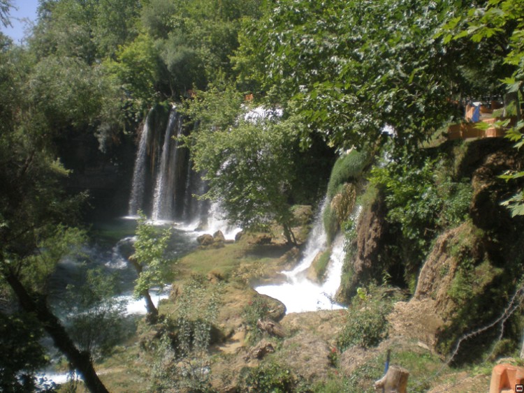 img00287.jpg