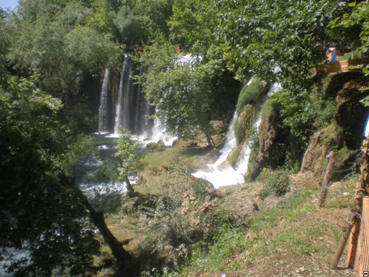 img00289.jpg