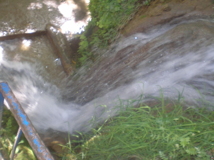 img00293.jpg
