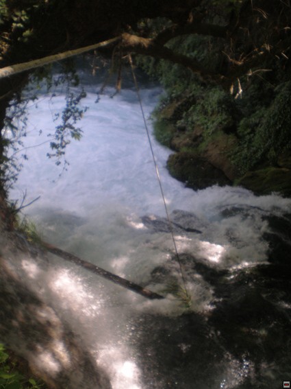 img00296.jpg