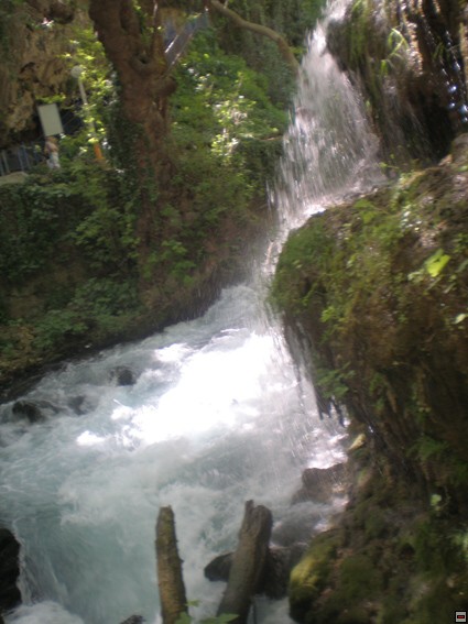 img00298.jpg