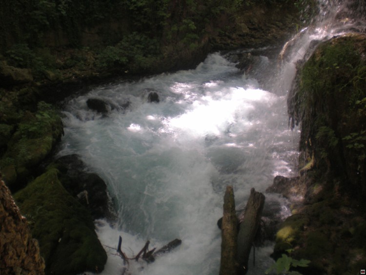 img00299.jpg
