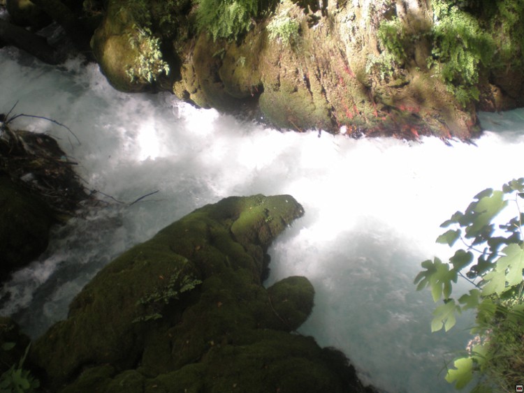 img00300.jpg