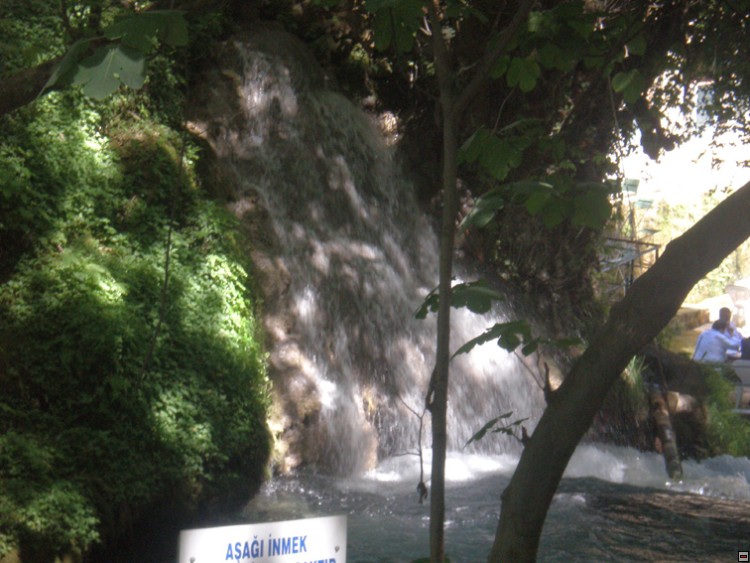 img00301.jpg