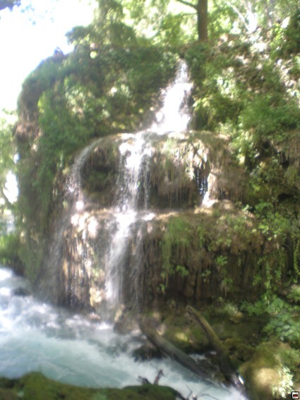 img00302.jpg