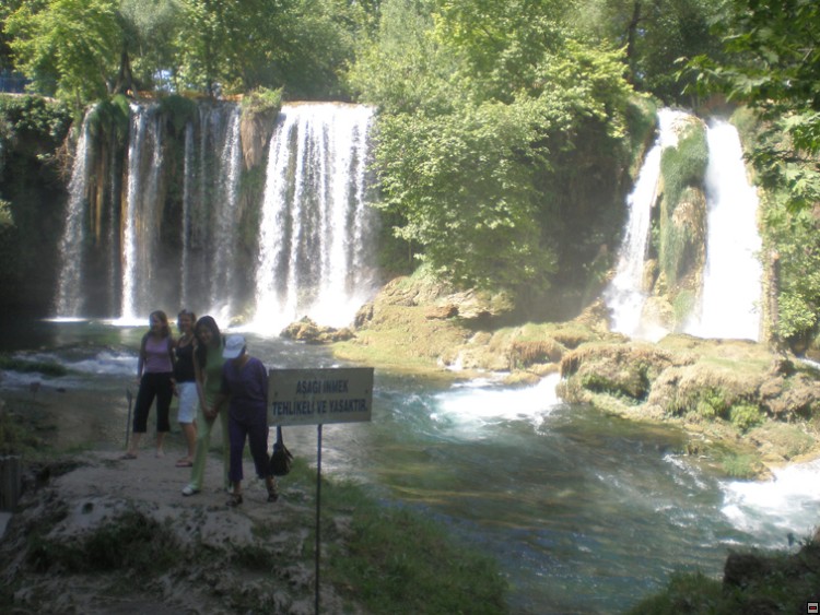 img00305.jpg