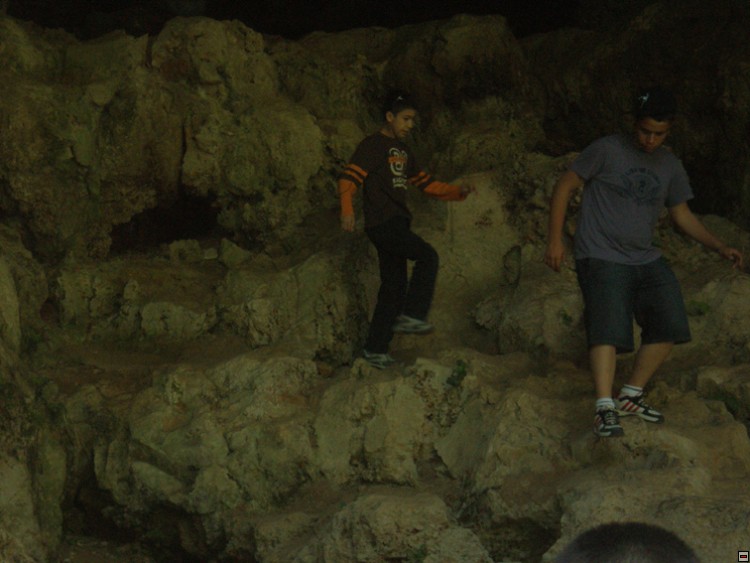 img00308.jpg