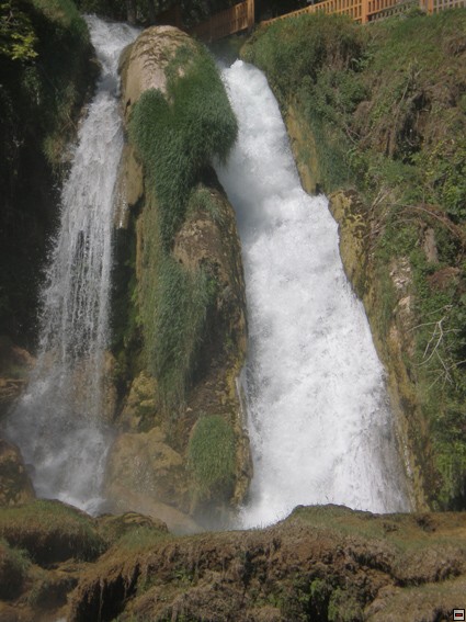 img00309.jpg
