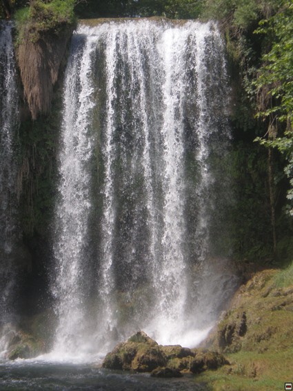 img00310.jpg