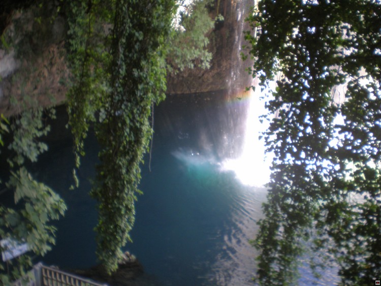 img00311.jpg