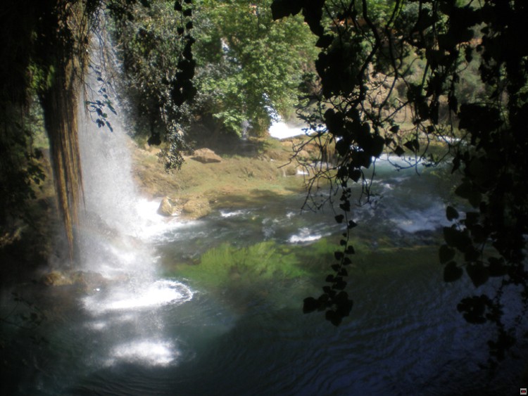 img00312.jpg