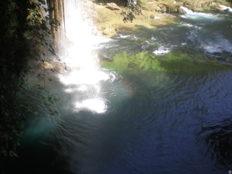 img00313.jpg