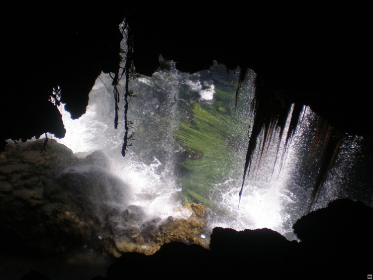 img00314.jpg