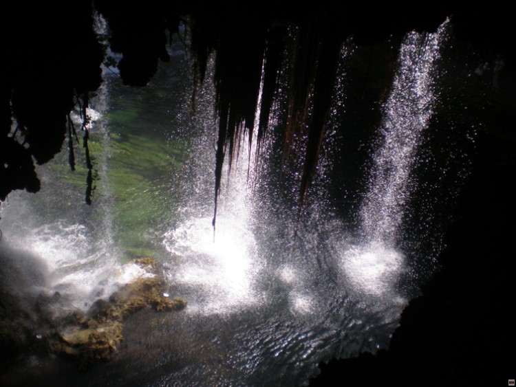 img00317.jpg