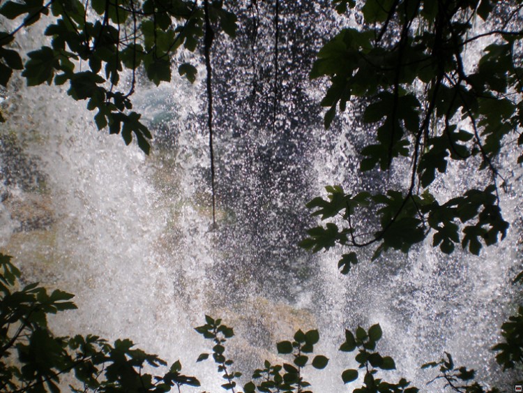 img00319.jpg