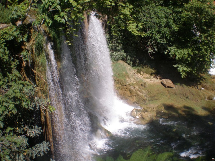 img00321.jpg