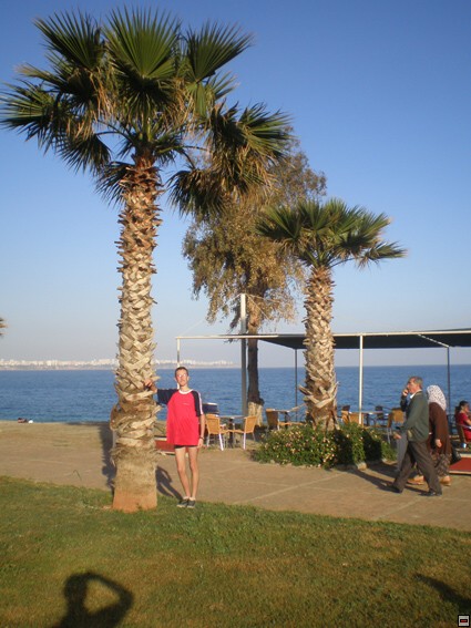 img00326.jpg
