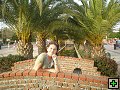 thn00238.jpg