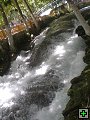 thn00272.jpg