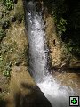 thn00281.jpg
